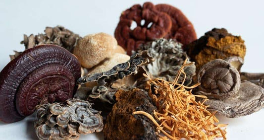Seven Mushroom Blend