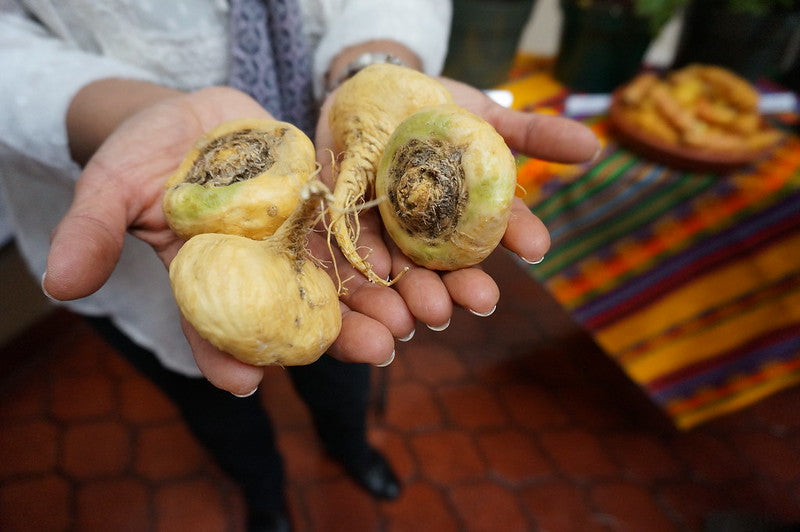 Maca