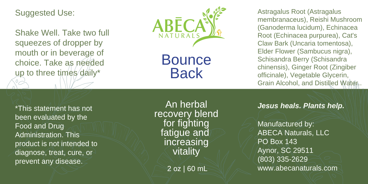 Immune System Recovery Blend