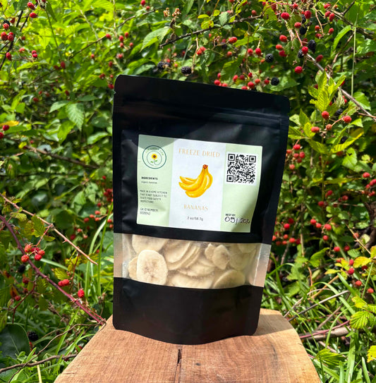 Organic Freeze Dried Bananas
