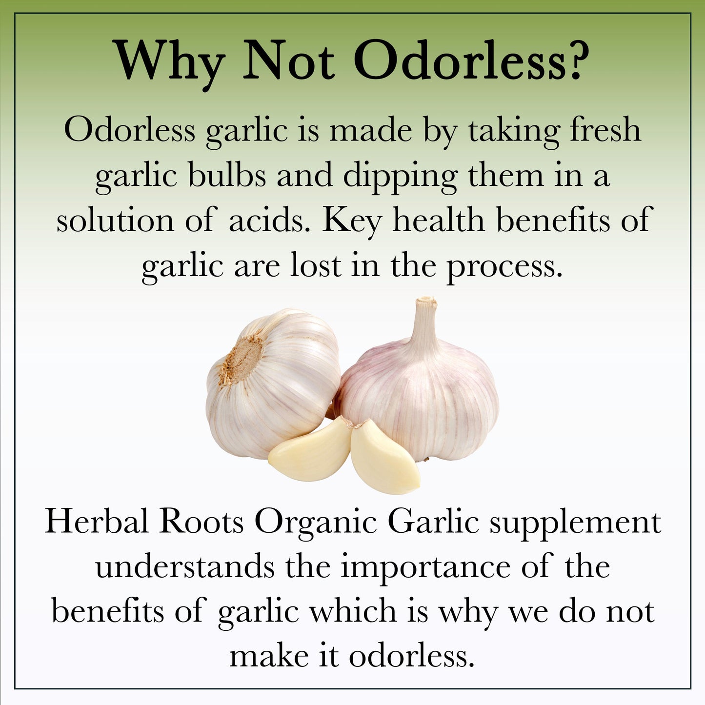 Organic Whole Bulb Garlic