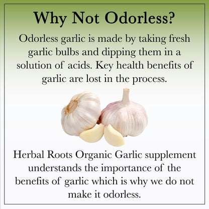 Organic Whole Bulb Garlic