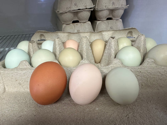 Farm Fresh Eggs