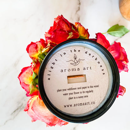 Dazzling | Honey ~ Orange Marmalade ~ Tobacco | Crackling Wick Candle