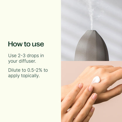 Love Vanilla Essential Oil Blend