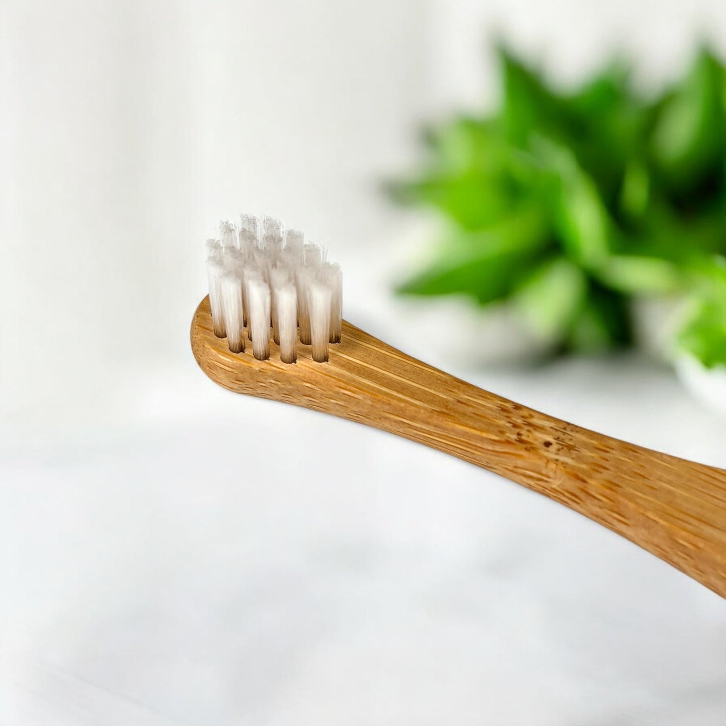 Bamboo Cat Toothbrush