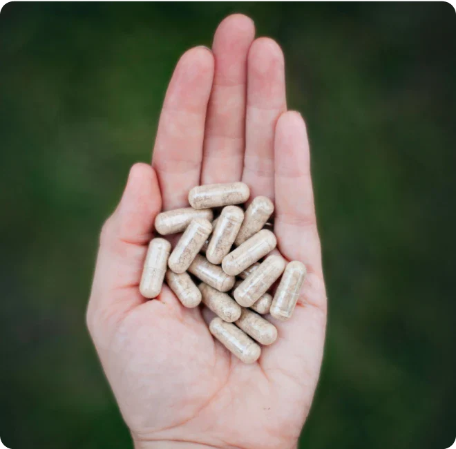 Kosher Pasture Raised Beef Liver Capsules