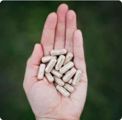 Kosher Pasture Raised Beef Liver Capsules